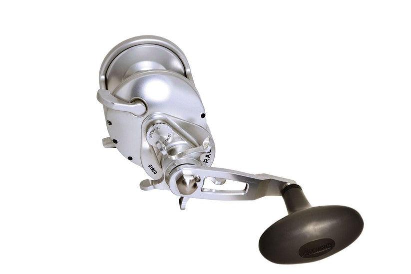 Accurate Tern 2 Star Drag Reels - Image 6
