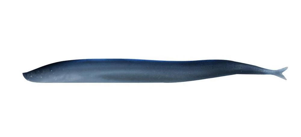 ๐ Berkley Gulp! Saltwater Sand Eel Soft Baits (100% off)
