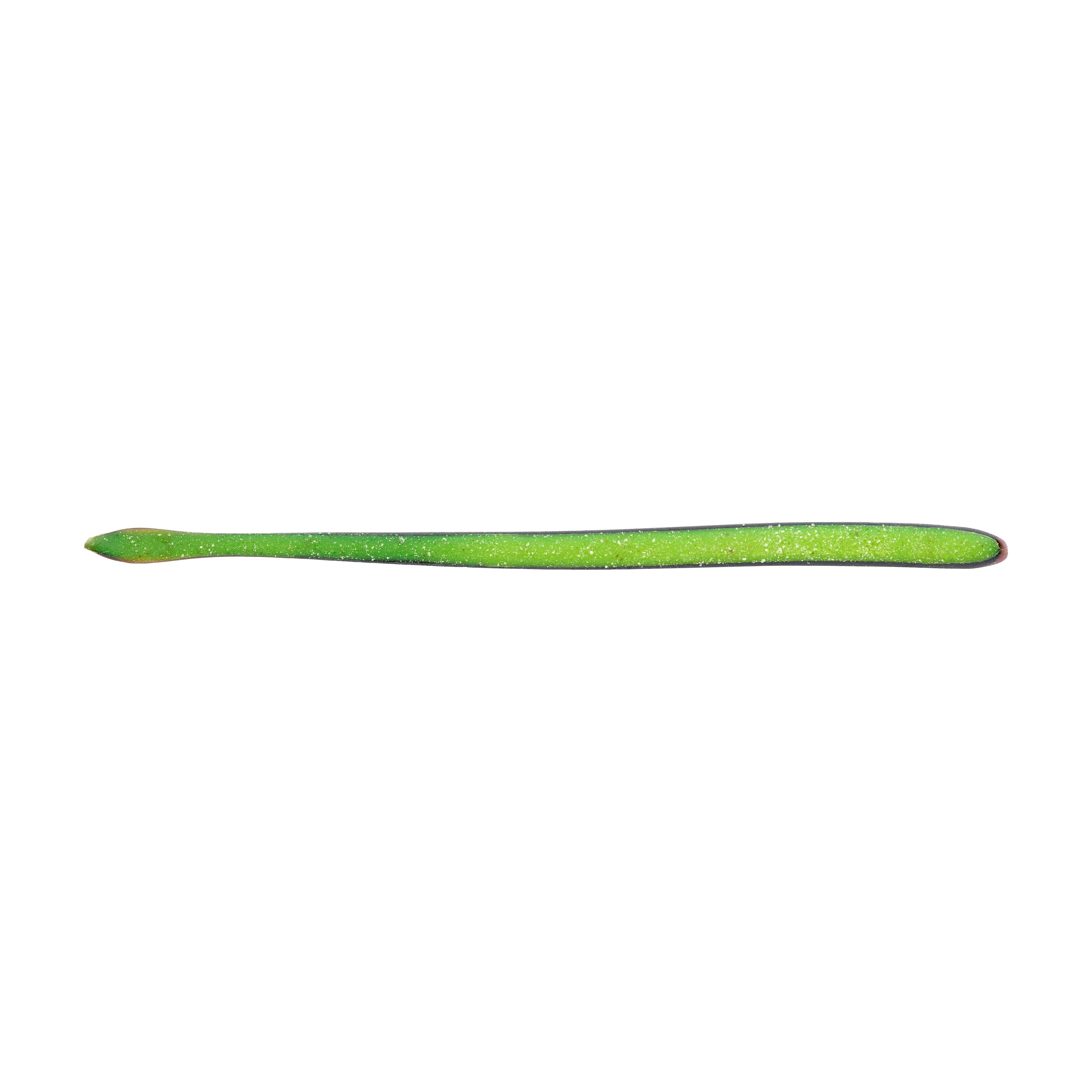 Berkley Lab Series Finesse Worm Soft Plastics - Image 24