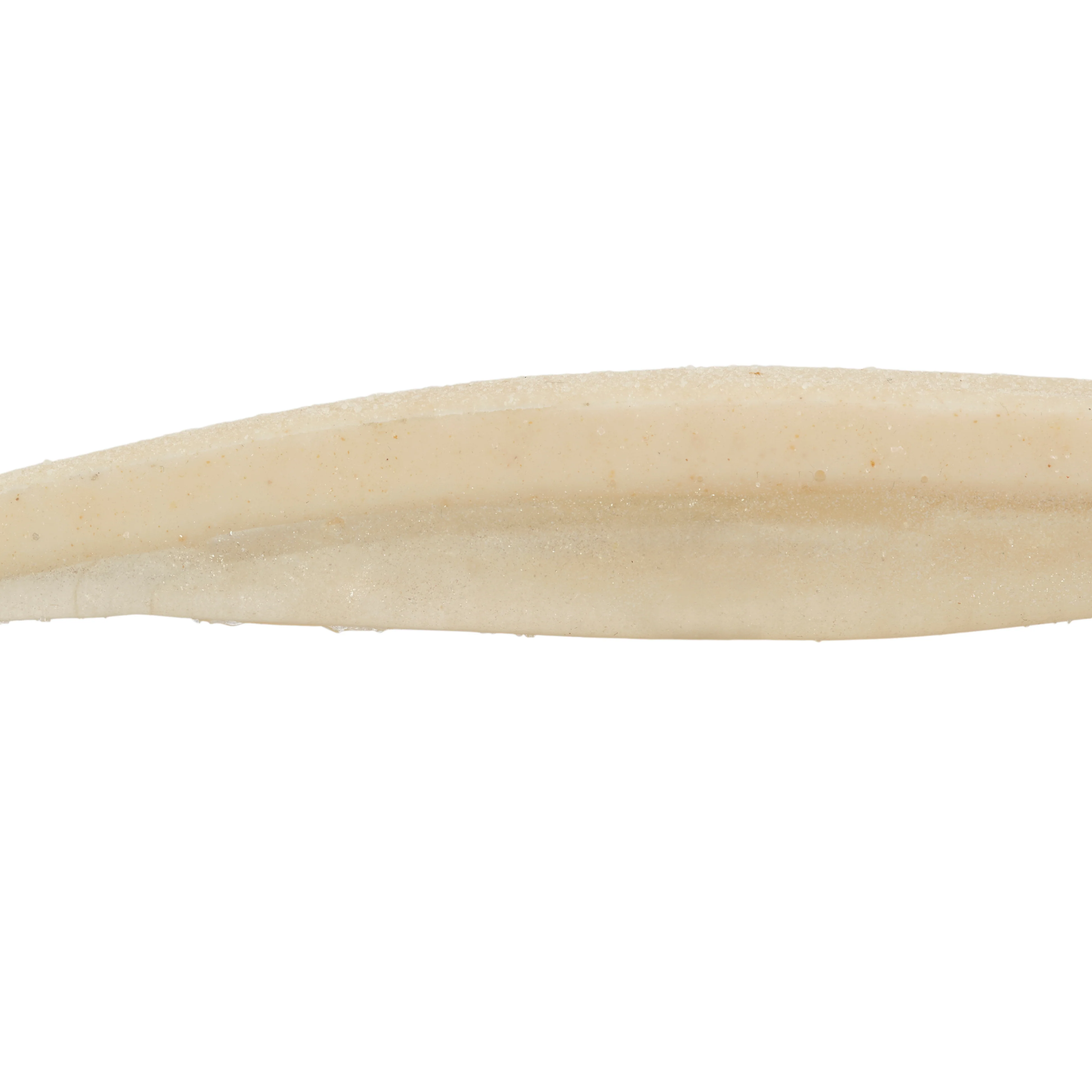 Berkley Lab Series Minnow Soft Plastics - Image 4