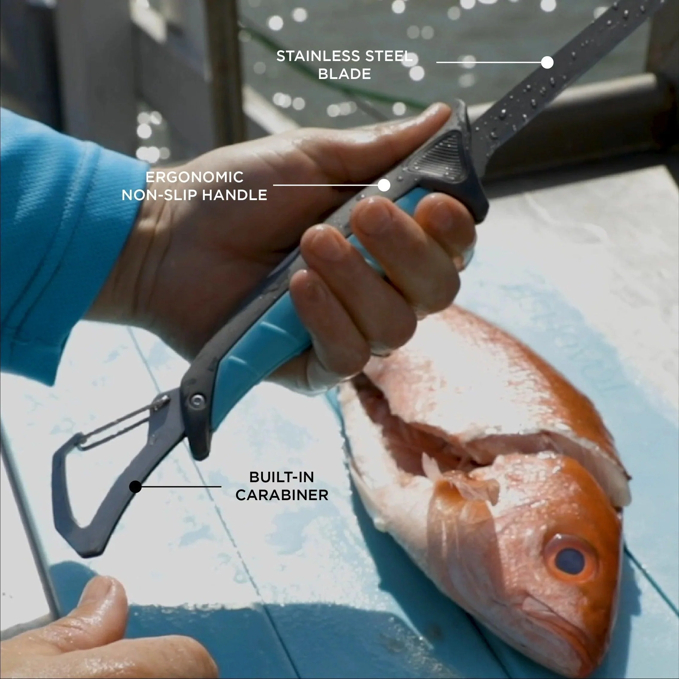 Toadfish Stowaway Folding Fillet Knives - Image 6