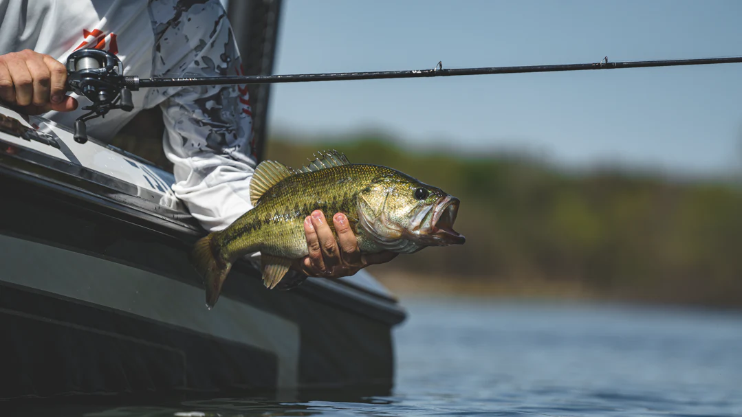 Daiwa Tatula XT Casting Rods - Image 9