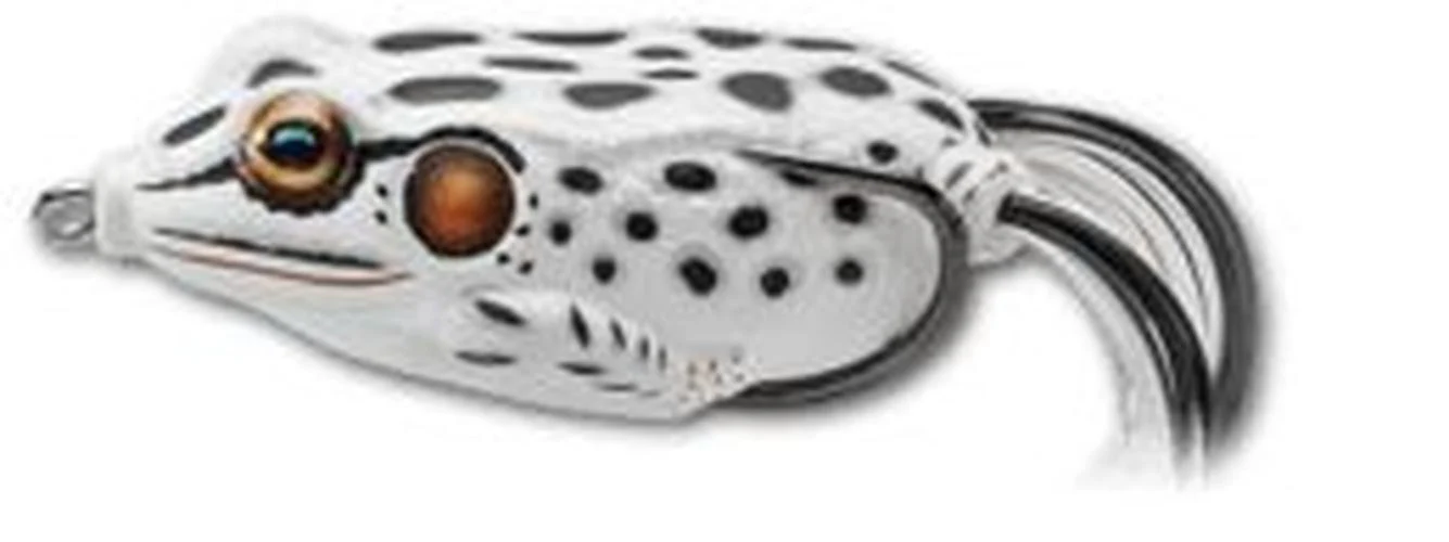 Live Target Hollow Body Frogs - Image 3