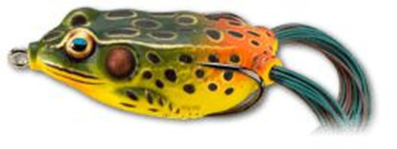 Live Target Hollow Body Frogs - Image 4