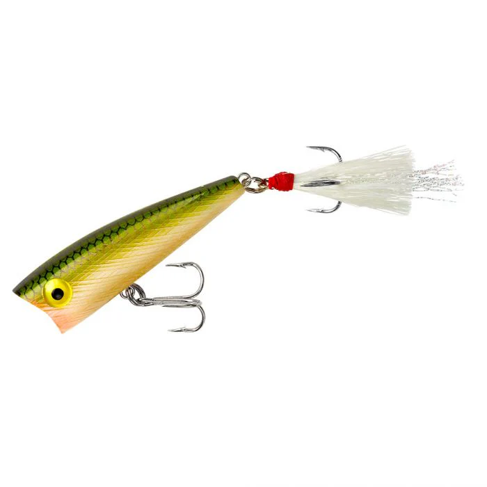 Rebel Magnum Pop-R Poppers - Image 6